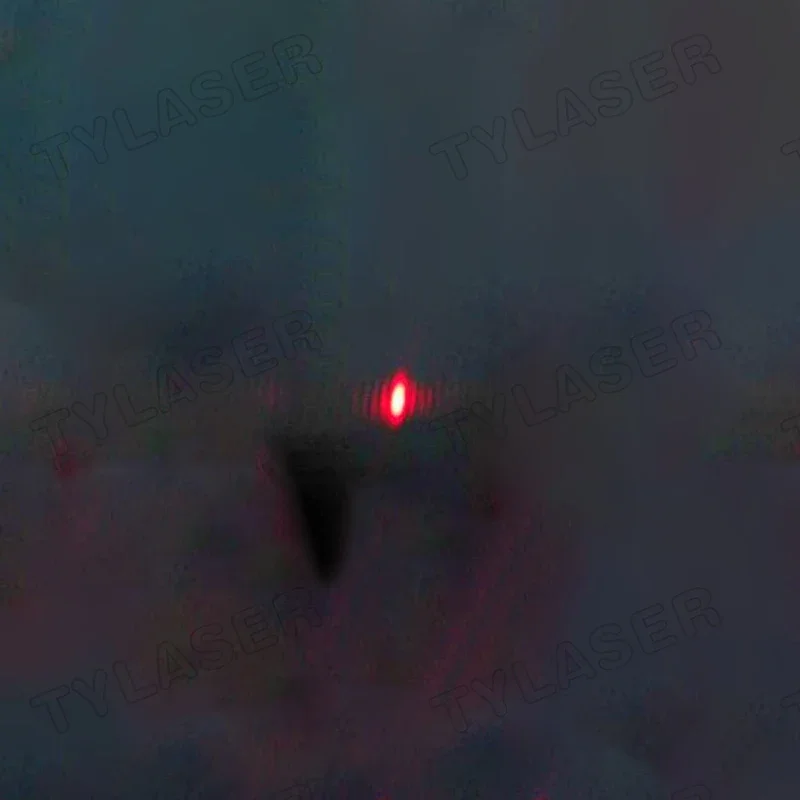 Módulo Laser TTL Externo 8mm 6 - Industrial Grade Laser Pointer avaliação e preço